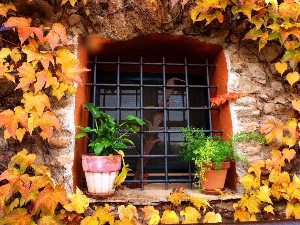 Hostal Nou De Crespia Bagian luar foto